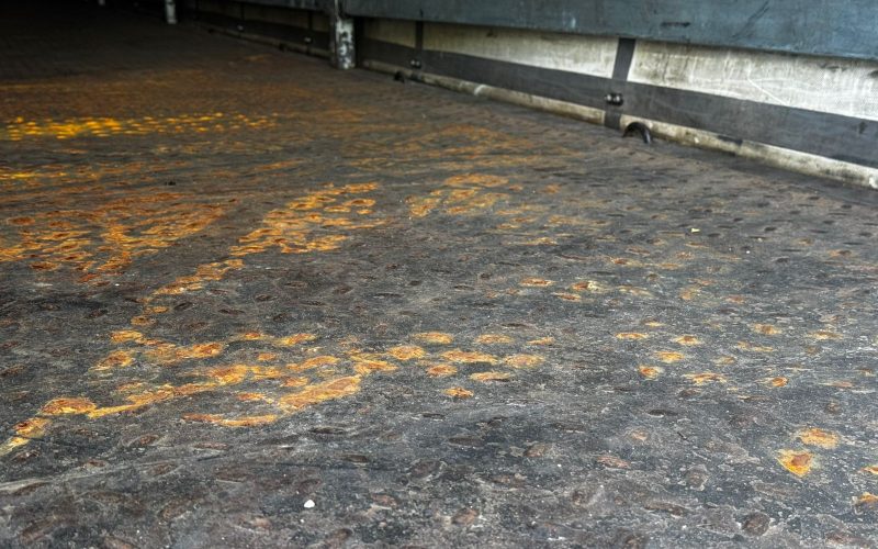 WhatsApp Image 2026-03-11 at 11.33.50 (2)